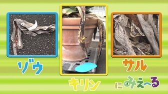 ツペラツペラのなににみえ～る