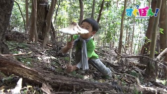 しぜんダネ なぎくん