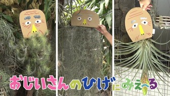 ツペラツペラのなににみえ～る