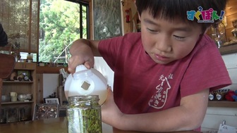 しぜんダネ なぎくん