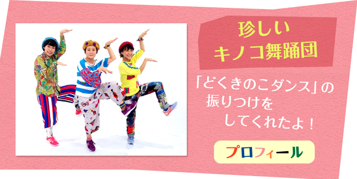 珍しいキノコ舞踊団プロフィール