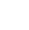 公式X