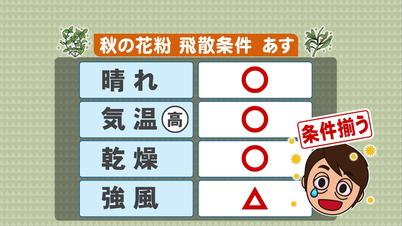 002_秋の花粉 飛散条件 .jpg