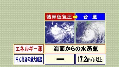 005_②熱低と台風 違い.jpg