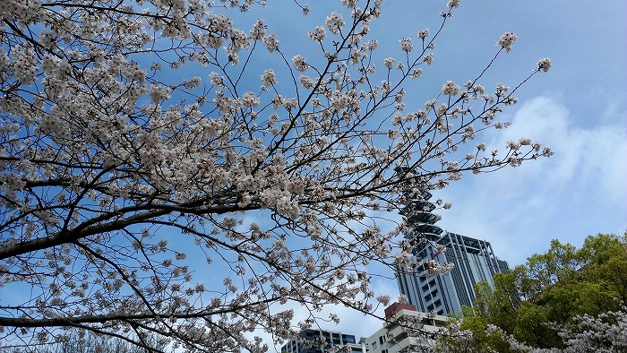 2013-4-3-9.jpg