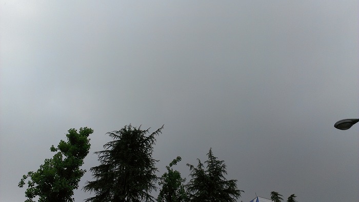 2013062107.jpg