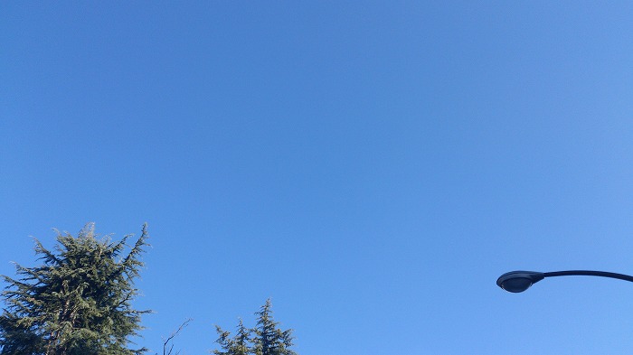 2014010901.jpg