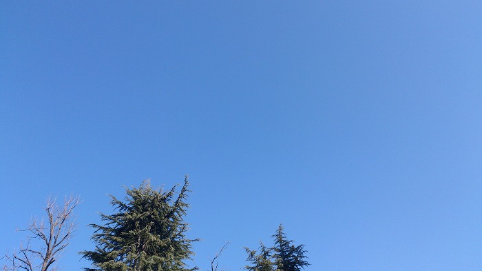 今日 黄砂