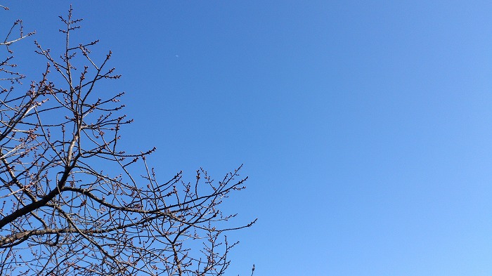 2014021101.jpg