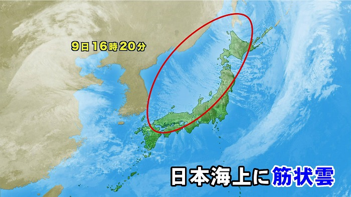 2016110903.jpg