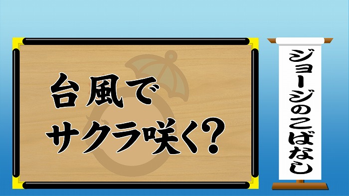 台風でサクラ咲く 東海テレビ ジョージの天気上々