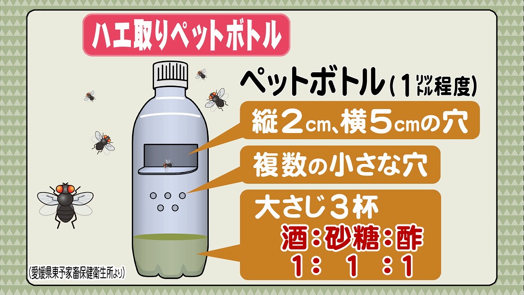 おせっかいな天気予報 6 7月はハエの発生ピーク 対策を 東海テレビ ジョージの天気上々