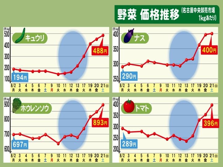 豊作での安値一転 記録的な大雨で夏野菜の価格高騰 市場の担当者に聞いた いつまで続くかとその理由 東海テレビnews