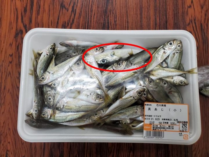スーパーで販売のアジのパックに フグの稚魚 客から フグが入っている と連絡あり発覚 5つ未回収 東海テレビnews