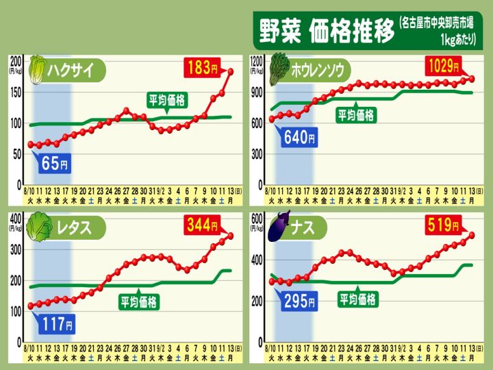 今手ごろな野菜は 産地に共通点 葉物中心に野菜価格が高騰中 市場関係者に聞いた いつまで続くか 東海テレビnews