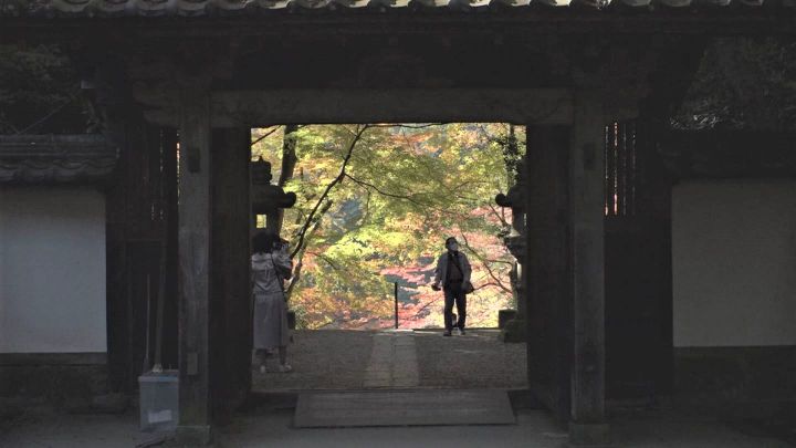 知る人ぞ知る撮影スポットも 東海地方屈指の紅葉の名所 香嵐渓 2年ぶりに屋台グルメとライトアップ復活 東海テレビnews