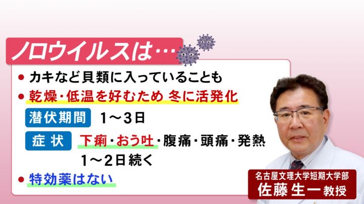 ノロウイルス 症状