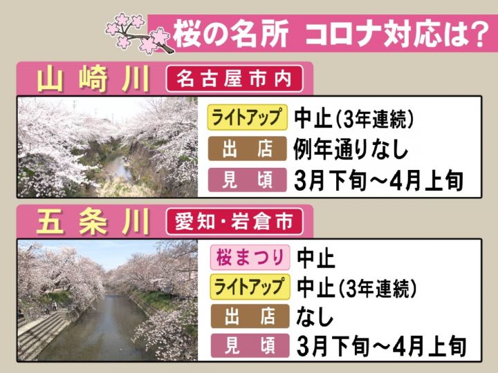 3年ぶり 桜まつり 開催の所も 東海3県の桜の名所 今年の状況は 名古屋 山崎川はライトアップ中止に 東海テレビnews