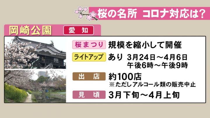 3年ぶり 桜まつり 開催の所も 東海3県の桜の名所 今年の状況は 名古屋 山崎川はライトアップ中止に 東海テレビnews