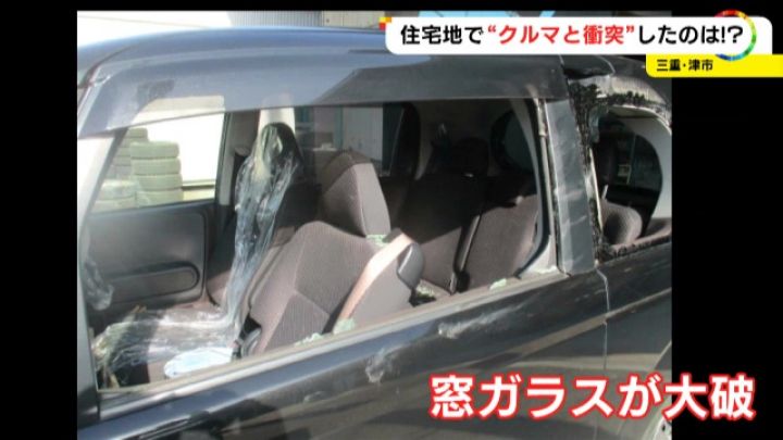 修理費用は約70万円 住宅街でワゴン車と 鹿 が衝突 ガラスが爆発したみたいな感じ 座席には破片が散乱 東海テレビnews