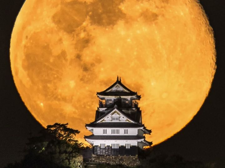 圧倒的インパクトでバズる…『月と岐阜城』撮った兼業写真家 建築士が地元で“奇跡の瞬間”追い続けるワケ | 東海テレビNEWS