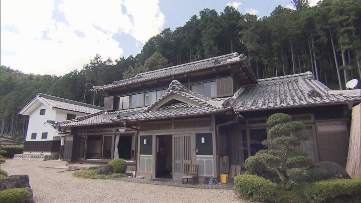 帰省した孫が“巨大化した巣”発見…攻撃的な『モンスズメバチ』の