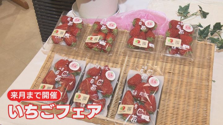 ミルフィーユは高さ約25cm…中津川市のちこり村で「いちごフェア」名産