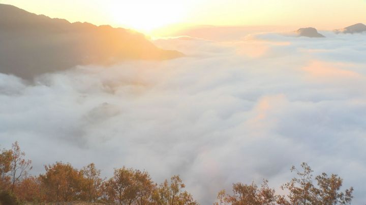 波を打つように動く…三重県熊野市のツエノ峰で雄大な「雲海」朝日で