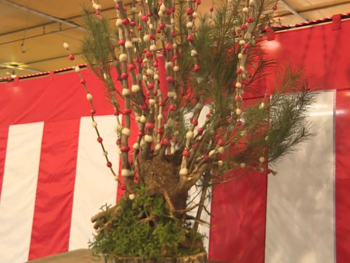 2m超えるものも…紅白の餅を満開の花に見立てる飛騨地方の正月飾り『花