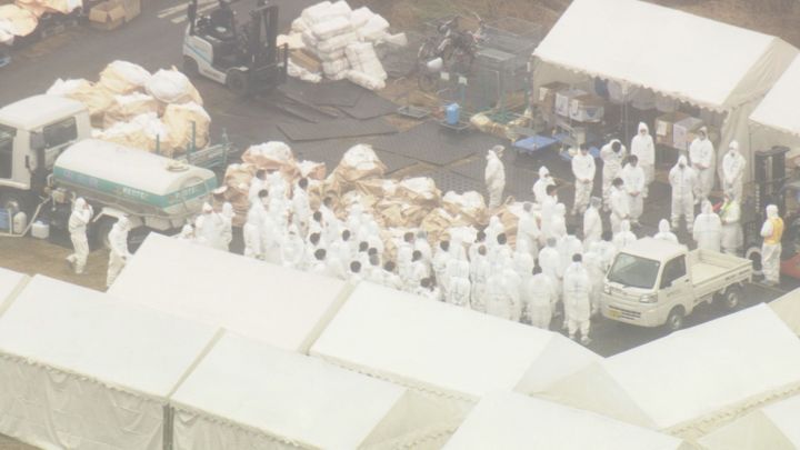 ニワトリ約12万羽の殺処分進む…愛知県常滑市の養鶏場で高病原性疑いの