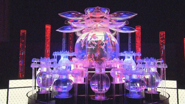 【激レア】アムネシア、ウキョウ、オトメイトガーデン、展示パネル 地金など6種類から…「アートアクアリウム展」で人気No.1を決める“推し