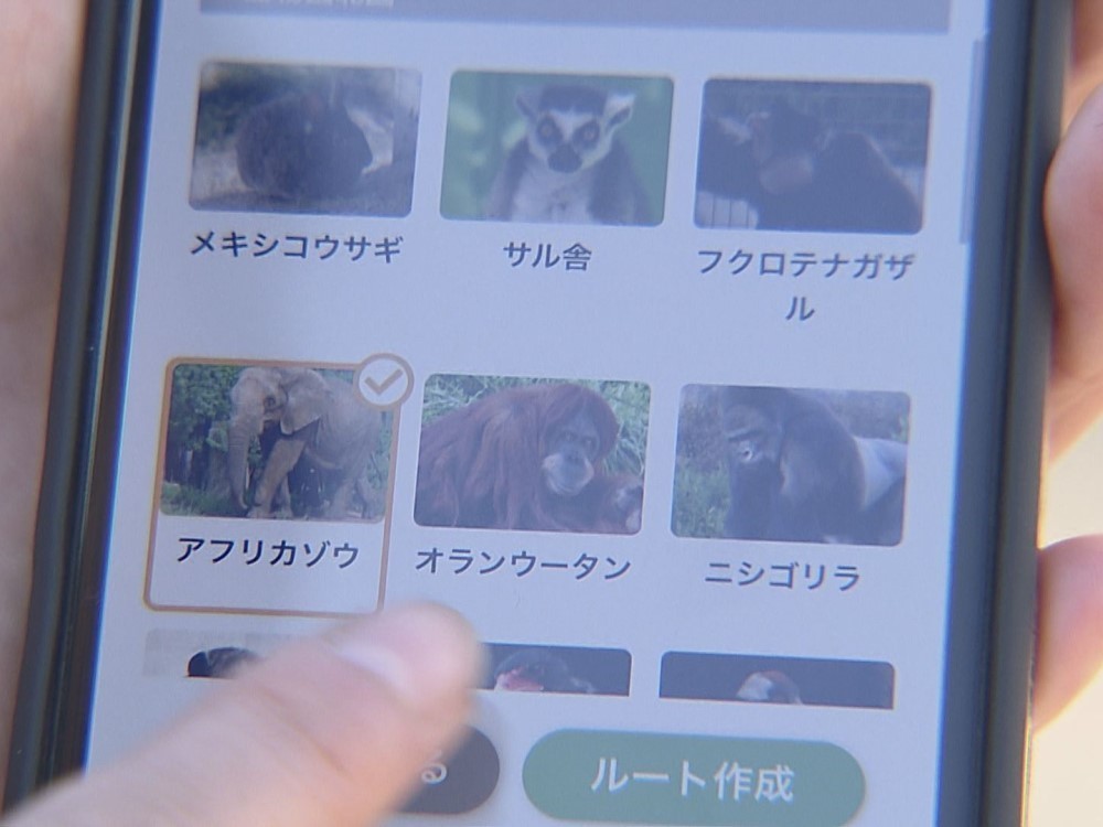 園内の最適ルートを提案 名古屋 東山動植物園でスマホでの案内サービス実証実験 1月末まで 東海テレビnews