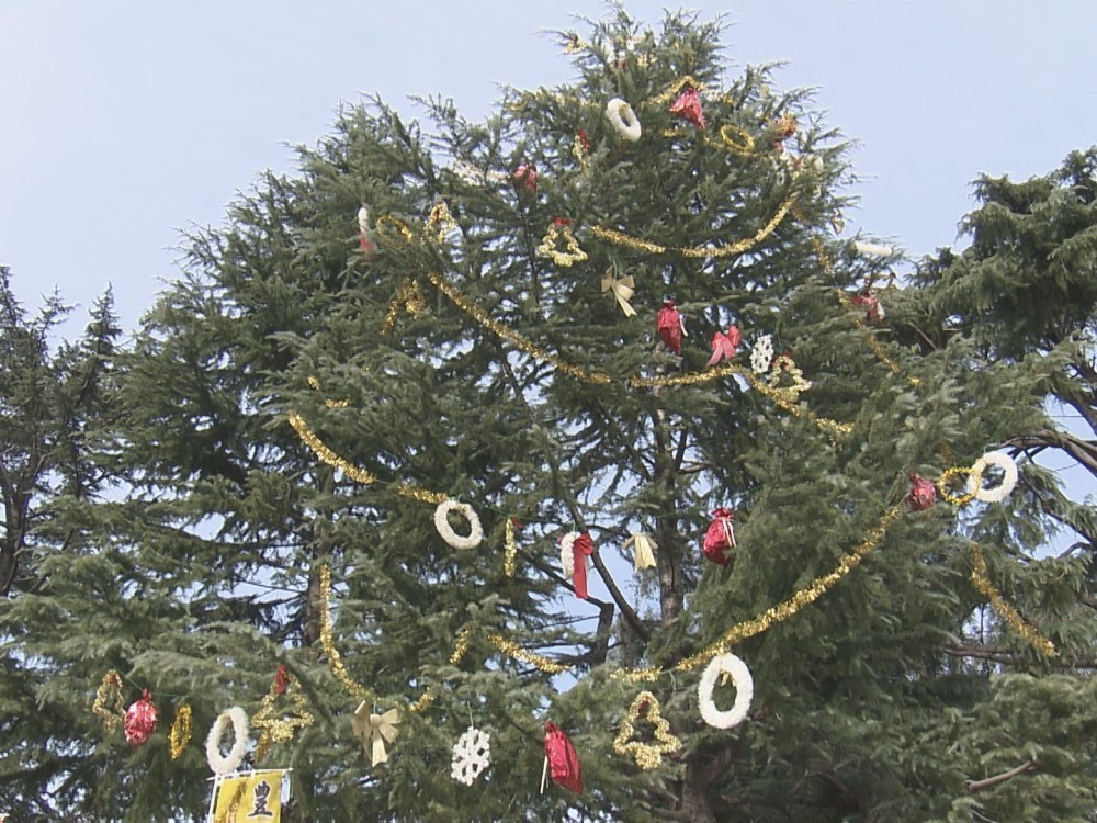 夜には約100個のランタンが 名古屋 鶴舞公園でクリスマスイベント アーティストによる歌やダンスも 東海テレビnews 夜には約100個のランタンが 名古屋 鶴舞公園でクリスマスイベント アーティストによる歌やダンスも 東海テレビnews