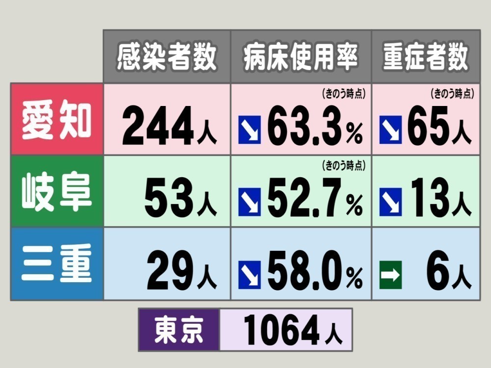 豊橋 コロナ ウイルス 感染