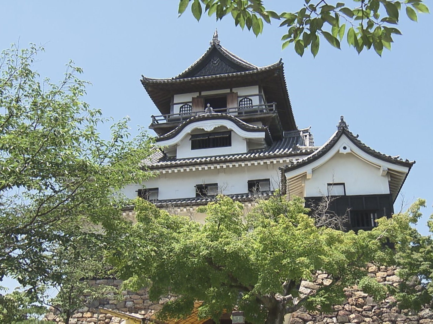 国宝5城を 近世城郭の天守群 として世界遺産に 犬山市長らが暫定リスト入りに向け文科副大臣にアピール 東海テレビnews