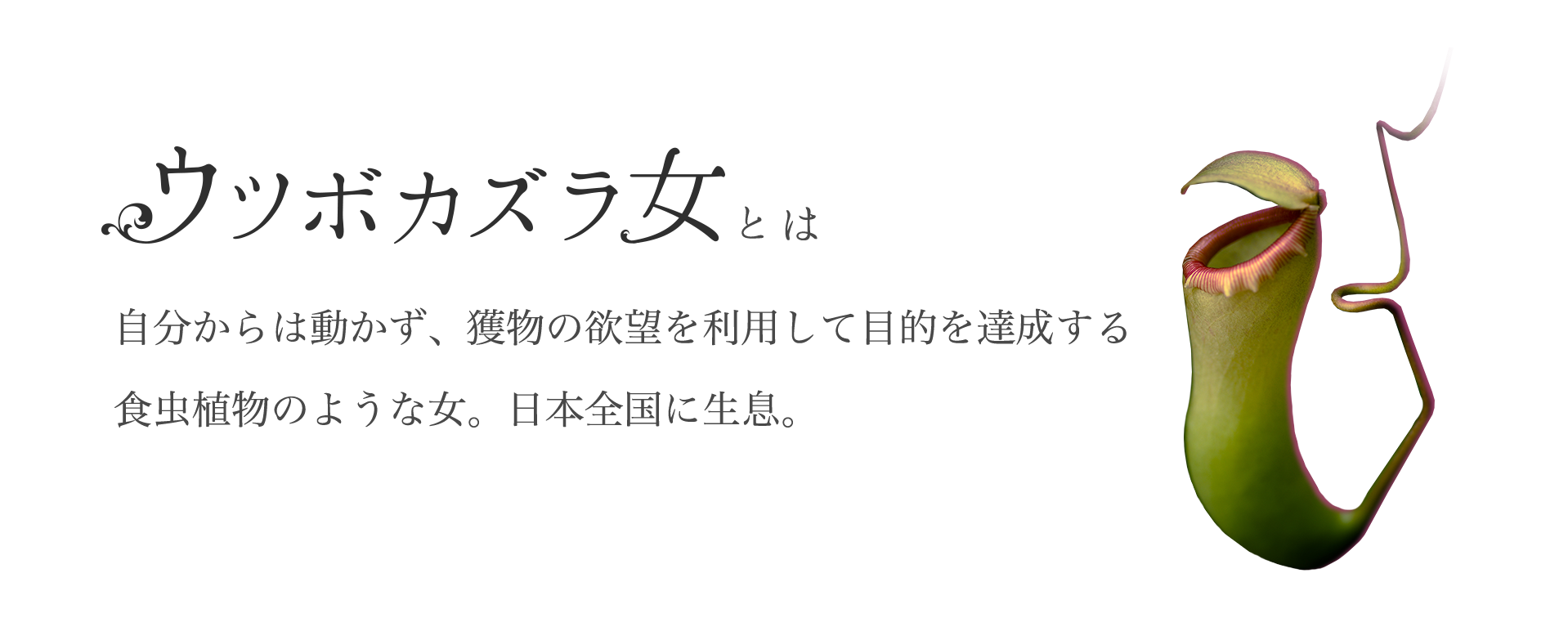 ウツボカズラ女とは、自分からは動かず、獲物の欲望を利用して目的を達成する食虫植物のような女。日本全国に生息。