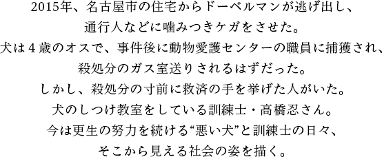 2015年、名古屋市の住宅からドーベルマンが逃げ出し、通行人などに噛みつきケガをさせた。犬は４歳のオスで、事件後に動物愛護センターの職員に捕獲され、殺処分のガス室送りされるはずだった。しかし、殺処分の寸前に救済の手を挙げた人がいた。犬のしつけ教室をしている訓練士・高橋忍さん。今は更生の努力を続ける“悪い犬”と訓練士の日々、そこから見える社会の姿を描く。