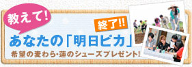 教えて！あなたの「明日ピカ」