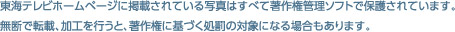 東海テレビホームページに掲載されている写真はすべて著作権管理ソフトで保護されています。