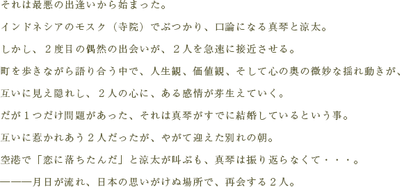 それは最悪の出逢いから始まった。
インドネシアのモスク（寺院）でぶつかり、口論になる真琴と涼太。
しかし、２度目の偶然の出会いが、２人を急速に接近させる。
町を歩きながら語り合う中で、人生観、価値観、そして心の奥の微妙な揺れ動きが、
互いに見え隠れし、２人の心に、ある感情が芽生えていく。
だが１つだけ問題があった、それは真琴がすでに結婚しているという事。
互いに惹かれあう２人だったが、やがて迎えた別れの朝。
空港で「恋に落ちたんだ」と涼太が叫ぶも、真琴は振り返らなくて・・・。
―――月日が流れ、日本の思いがけぬ場所で、再会する２人。