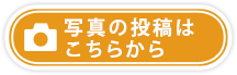 写真の投稿はこちらから